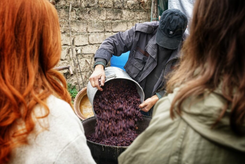 Wine making bi-product - must or grape pomace
