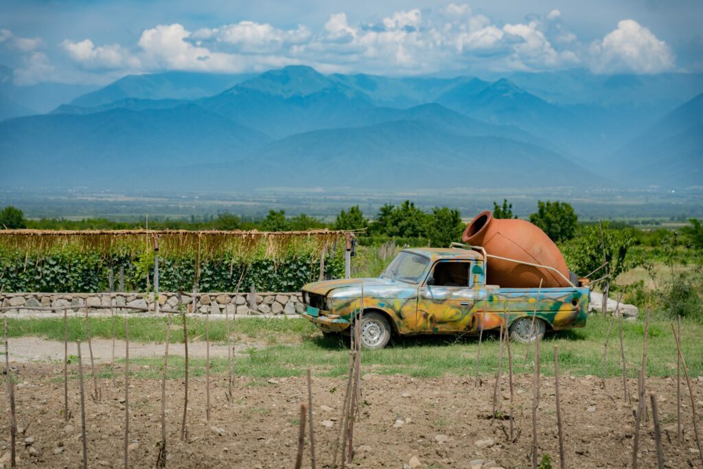 Georgia border control requirements