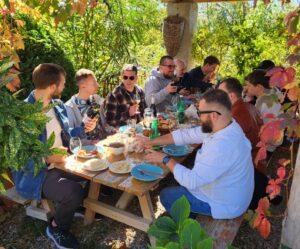 signagi day tour from tbilisi